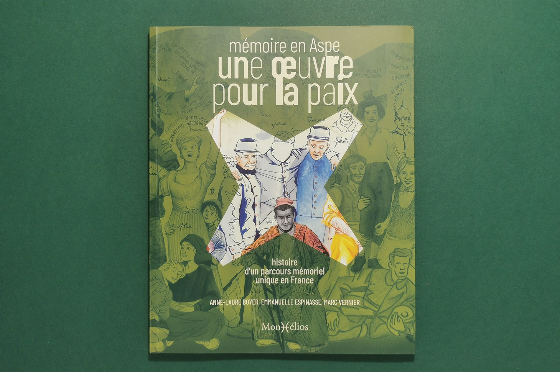 Mémoire en Aspe, le livre